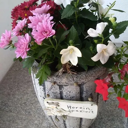 Apartament Waldegger *