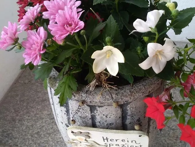 Lejlighed Waldegger *